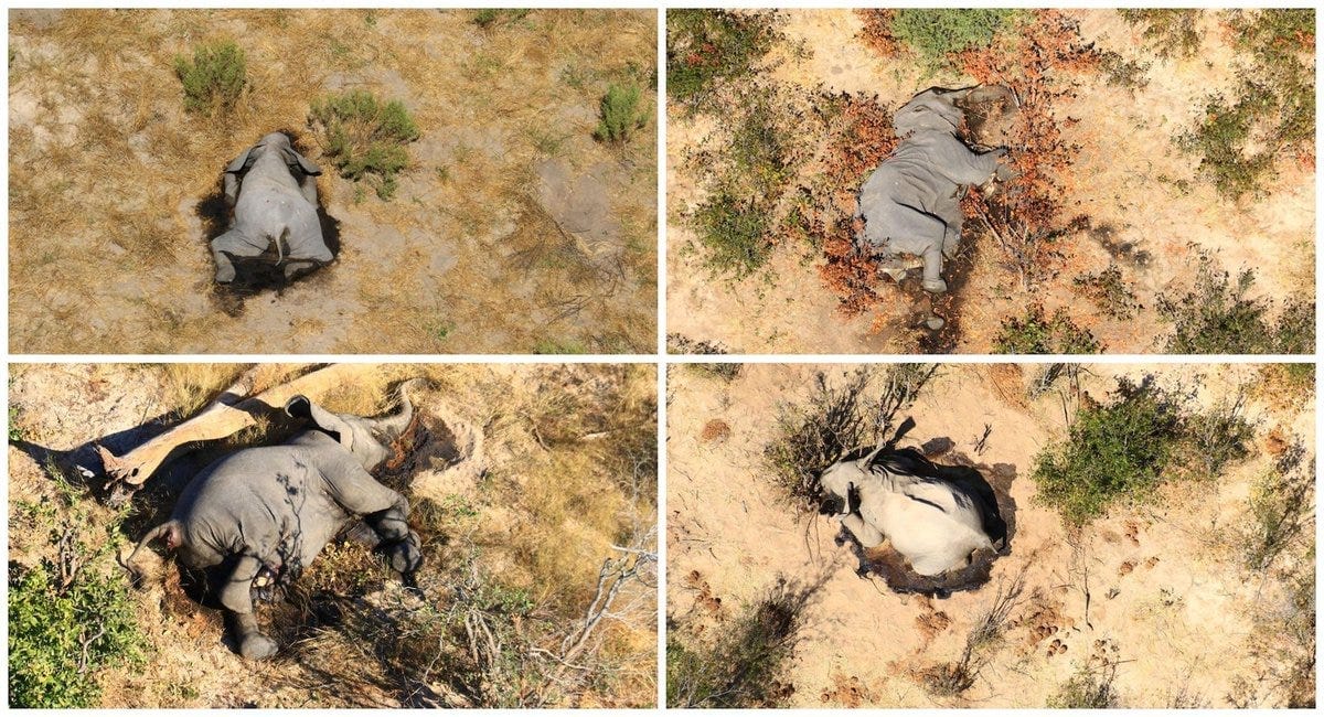 🗺️ Picks of the Week — June 25