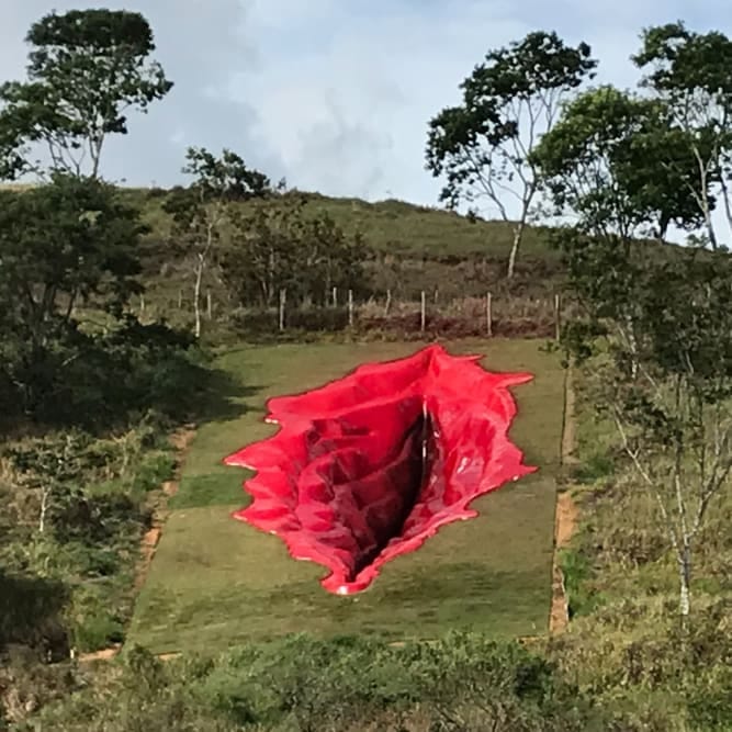 🗺️ Picks of the Week — Jan. 8