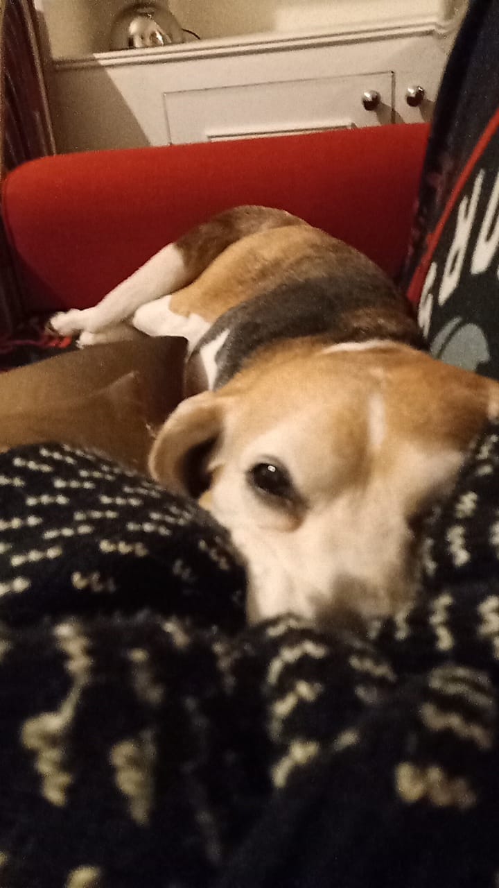 📝 327 New Jobs Added to the Job Board