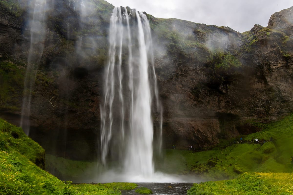 🇮🇸 Special Edition Iceland Newsletter