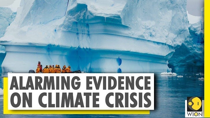 🔎 Picks of the Week – July 31