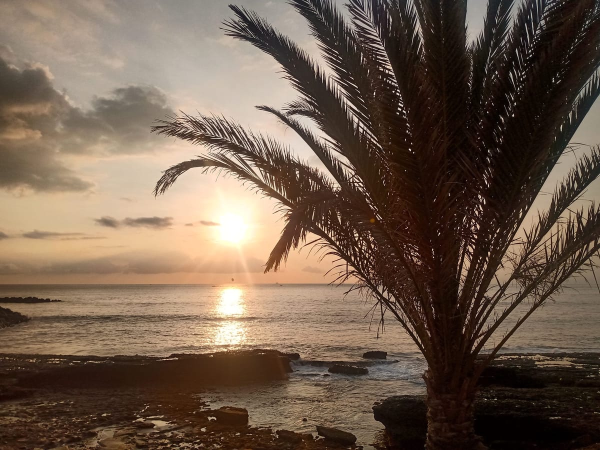 ✍️✍️ Jobs Update ✍️✍️ — November 9