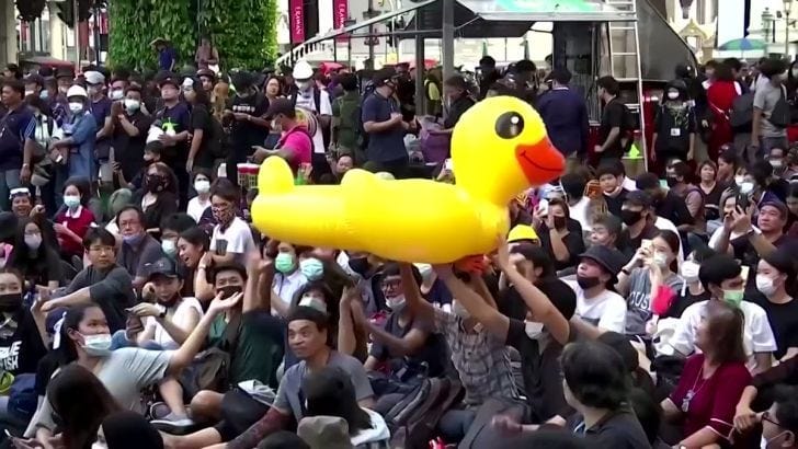 🗺️  Picks of the Week — Nov. 20