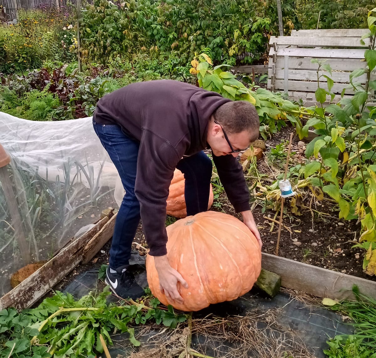 ✍️✍️ Jobs Update ✍️✍️ — October 25