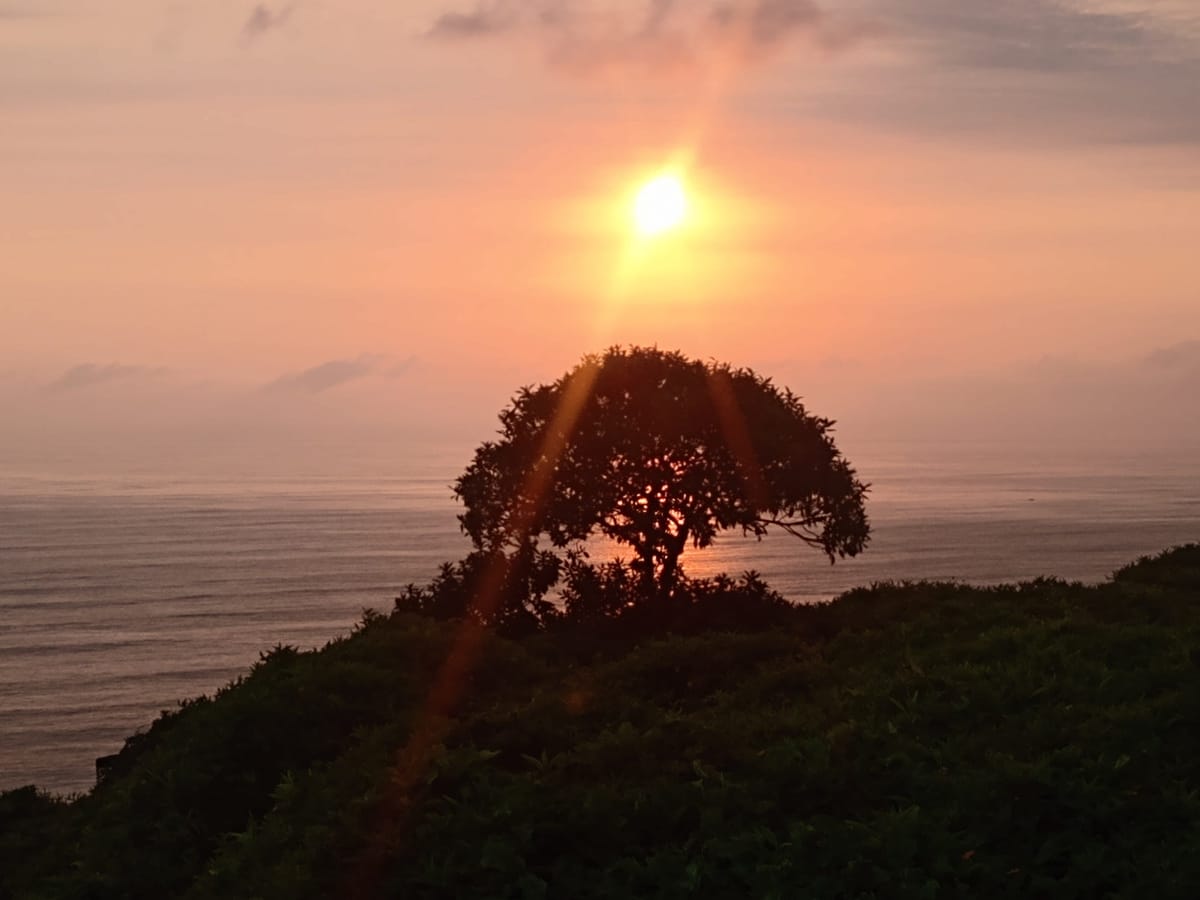 🇵🇪 Hello From Peru + Job Deadlines ✍️✍️ — January 14