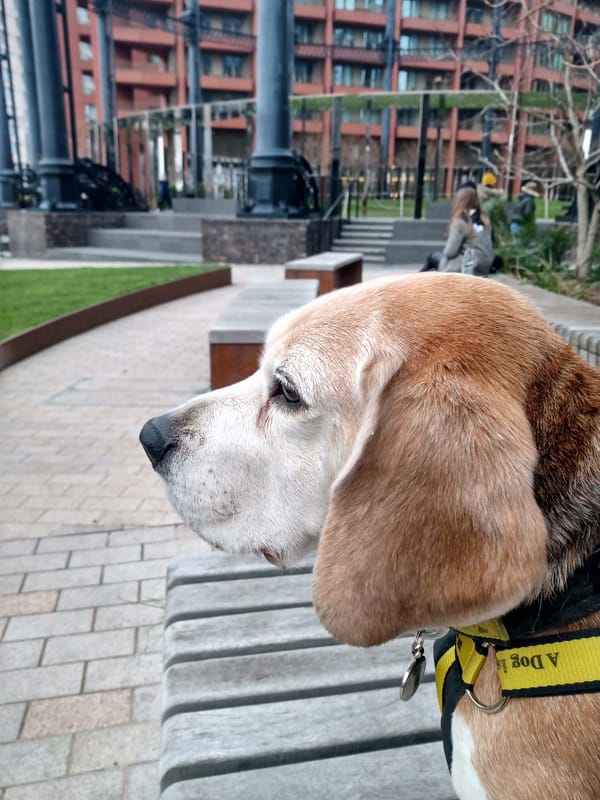 👋 Welcome Back Update + New Jobs