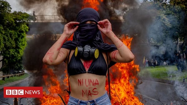 🗒️ Assignment Debrief: Sexual Violence and Anti-Government Protests in Colombia