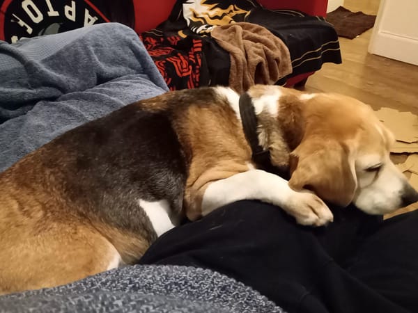 📝 Job Board Update