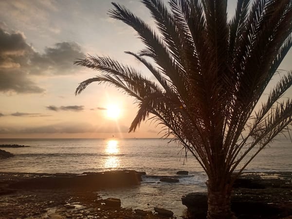 ✍️✍️ Jobs Update ✍️✍️ — November 9