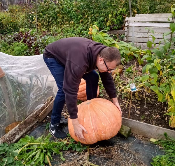 ✍️✍️ Jobs Update ✍️✍️ — October 25