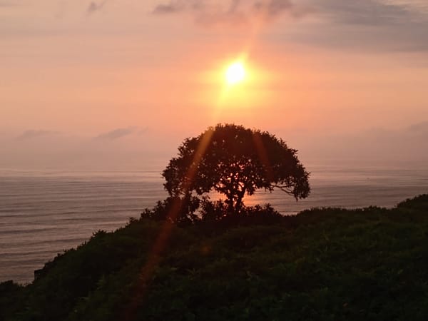 🇵🇪 Hello From Peru + Job Deadlines ✍️✍️ — January 14